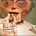 teeth3.jpg