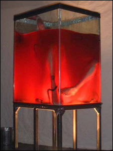 Floating in a tank of blood.