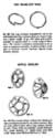 Gauntlet Jewelry Brochure
