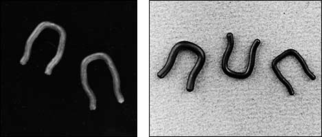 septum retainers