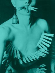 Clothes Pin Fans