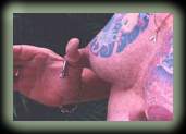[Stretched Nipple]