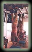 [Hanging]