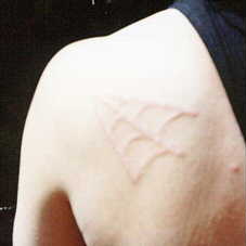 spiderweb brand