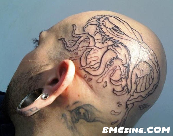 headsnake