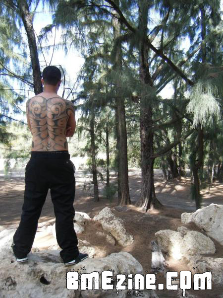 forest-1 forest-1