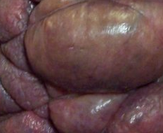 screen-shot-2010-07-21-at-40320-pm