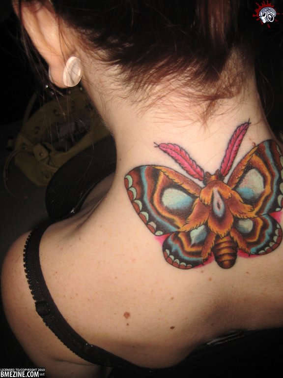 moth