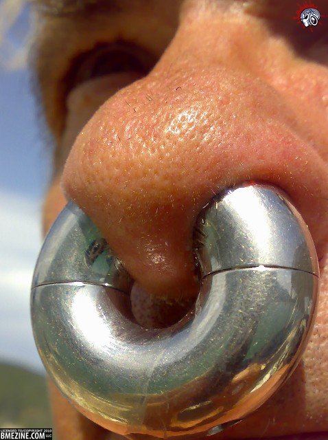 septum