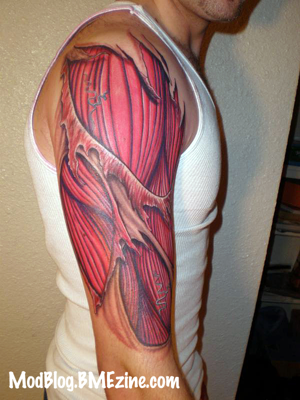 arm