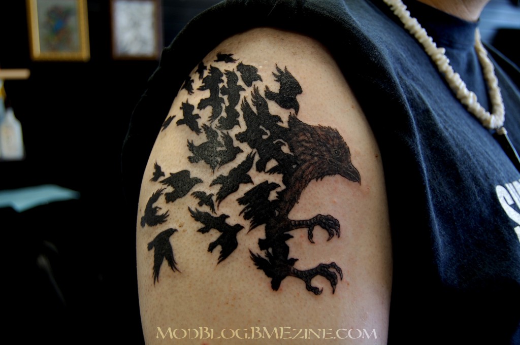 crow