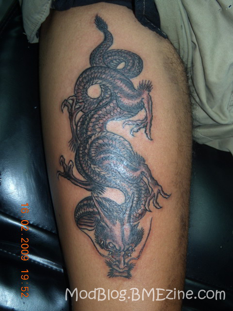 dragon