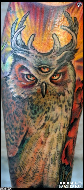 owl
