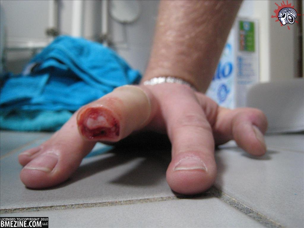 Fresh Finger. Fresh Finger.
