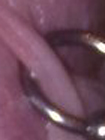 Guess What