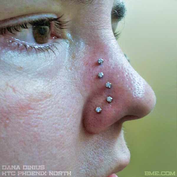 nostril-project
