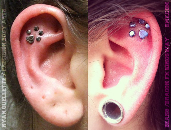 pawprint-piercings