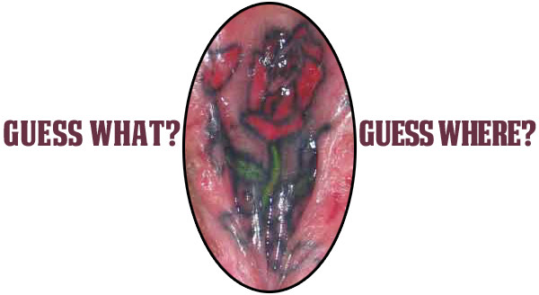 shannon-guesswhat