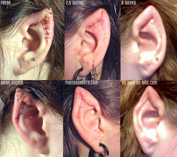 new ear pointing by brian